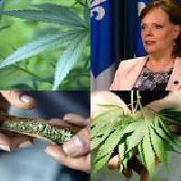 Quebec to begin consultations before tabling cannabis legislation this fall