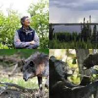 World Environment Day: Huge swath of Quebec forest, wetland to be protected forever