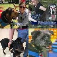 Regina Humane Society holds 26th annual Dog Jog