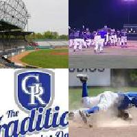 Guelph Royals baseball team folds citing poor play, low ticket sales